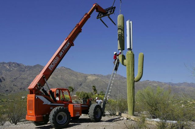 The Cactus Cell Tower - CellWaves