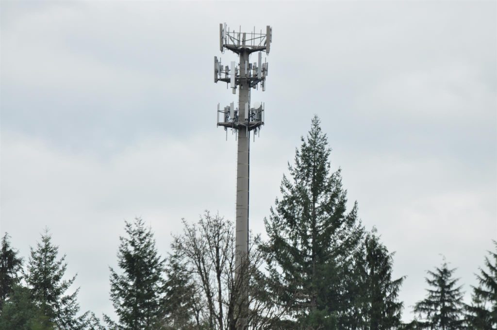 TOWER VIEW